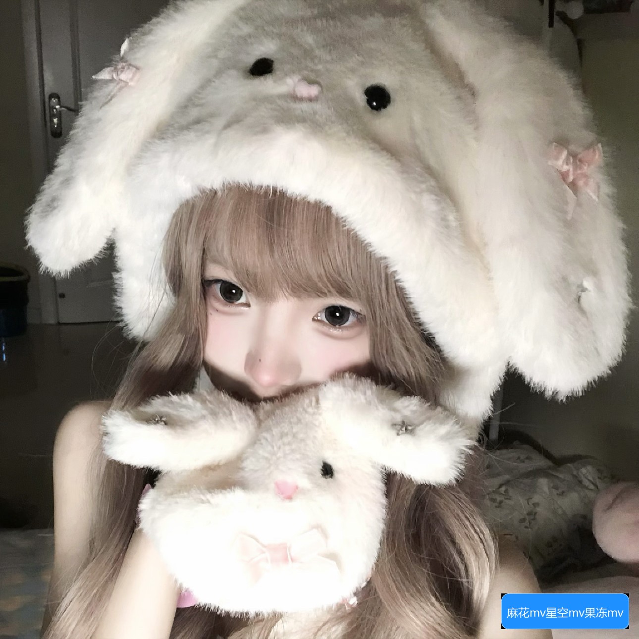 麻花MV、果冻MV、梦幻MV和蘑菇MV有哪些不同的风格和特色？